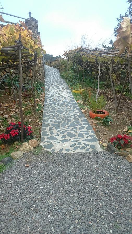 Casa Canaria La Moncloa Villa Icod De Los Vinos Esterno foto