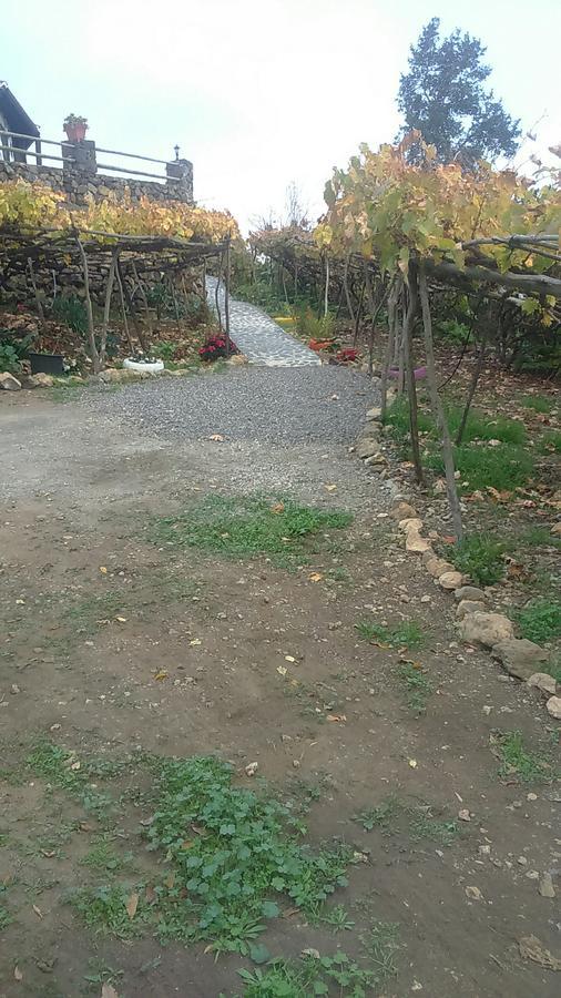 Casa Canaria La Moncloa Villa Icod De Los Vinos Esterno foto